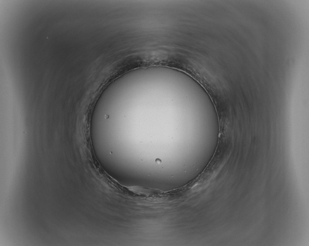 X0000110671153200906191339