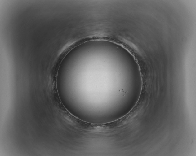 X0000110671160200906191339