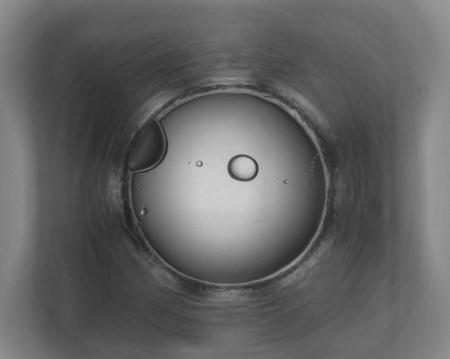 X0000110671162200906191339
