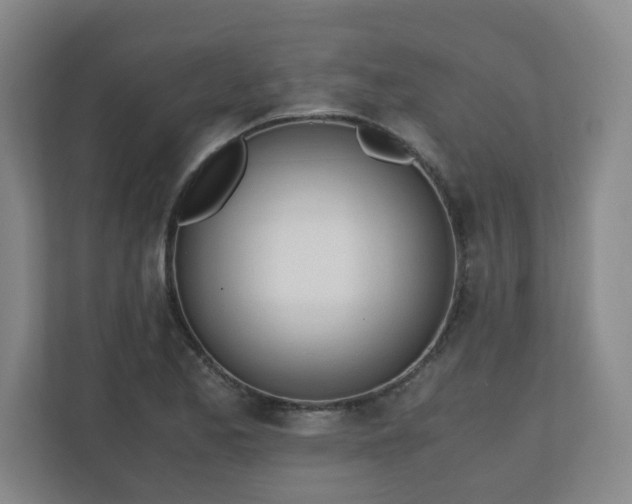 X0000110671173200906191339