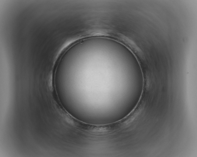 X0000110671174200906191339