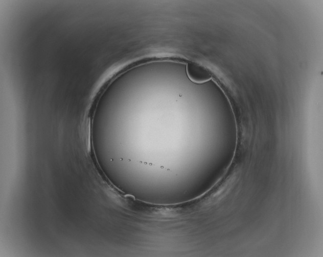 X0000110671175200906191339