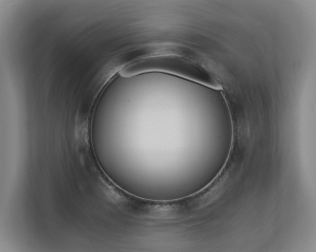 X0000110671177200906191339