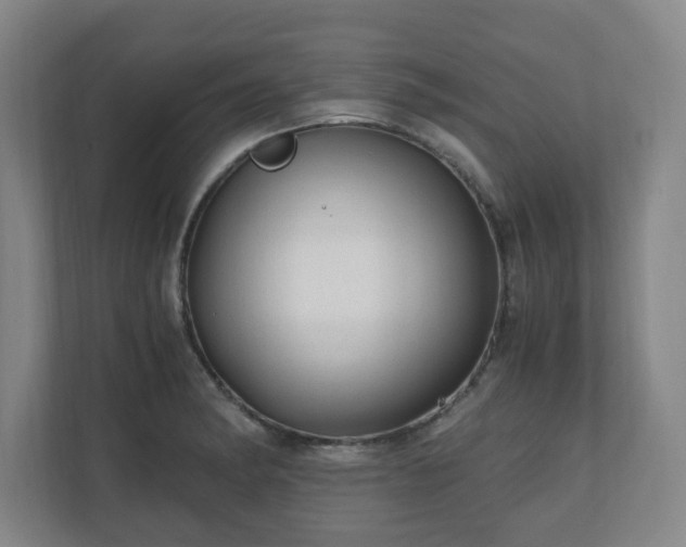 X0000110671182200906191339