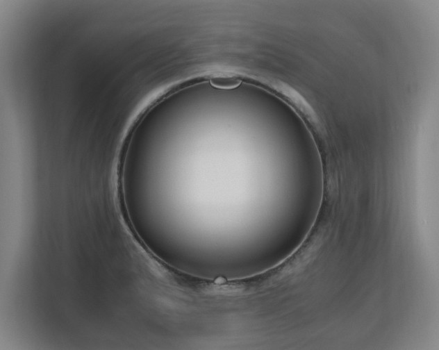 X0000110671183200906191339