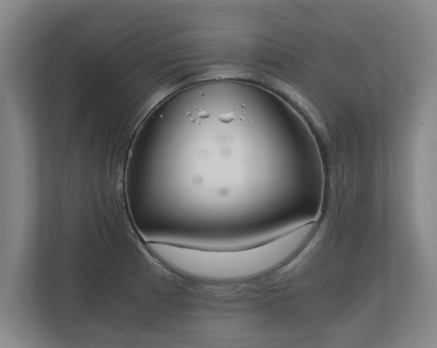 X0000110671185200906191339