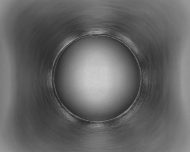 X0000110671186200906191339
