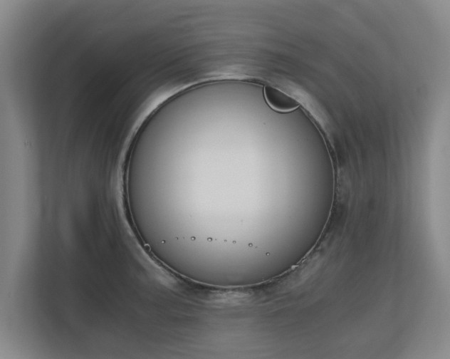 X0000110671187200906191339