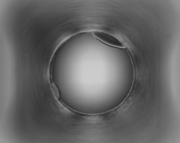 X0000110671189200906191339