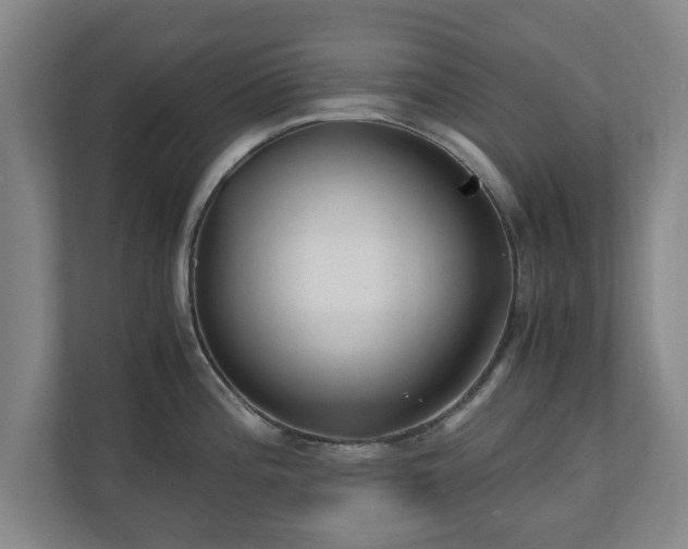 X0000110671196200906191339