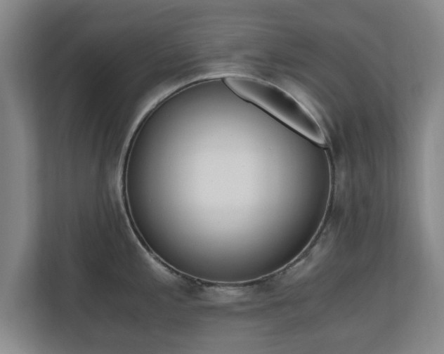 X0000110671197200906191339