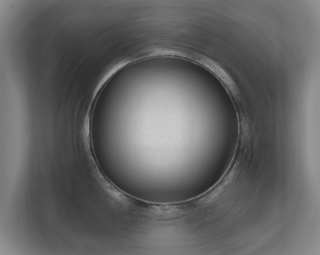 X0000110671198200906191339