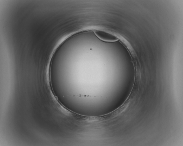 X0000110671199200906191339