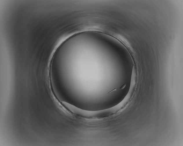 X0000110671200200906191339