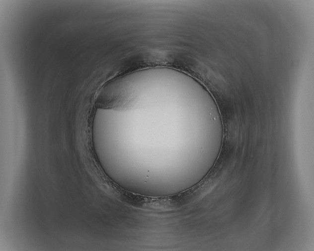 X0000110671201200906191338