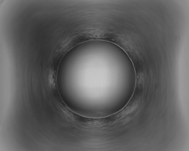 X0000110671202200906191338