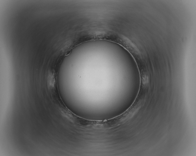 X0000110671204200906191338
