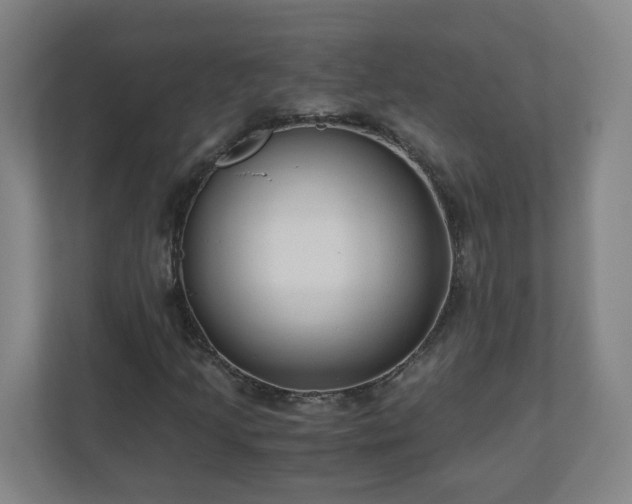 X0000110671205200906191338