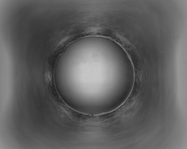 X0000110671206200906191338
