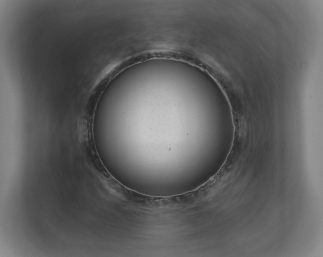 X0000110671208200906191338