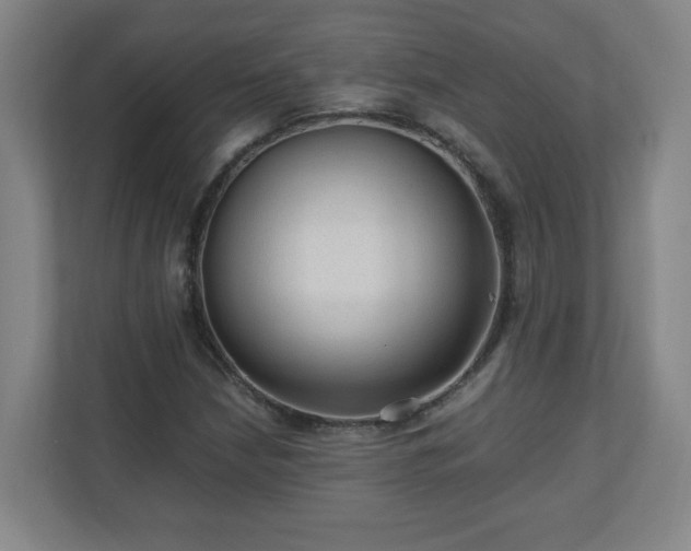X0000110671210200906191338
