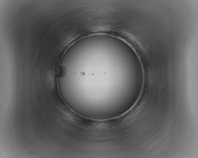 X0000110671217200906191338
