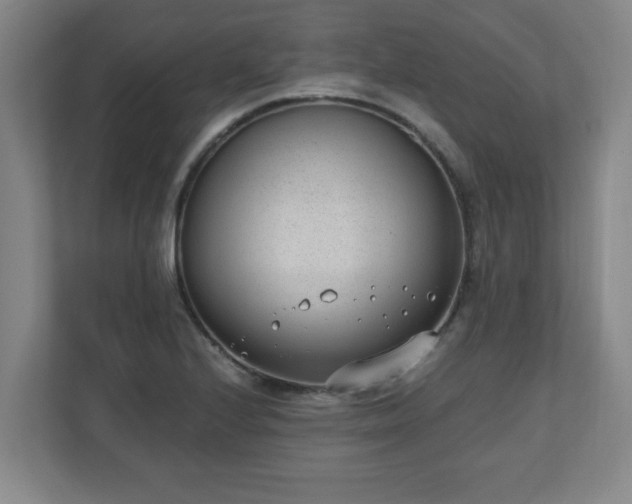 X0000110671224200906191338