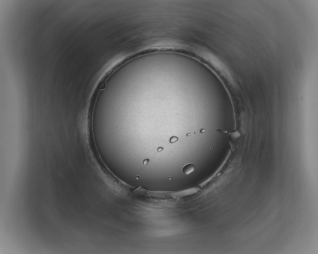 X0000110671229200906191338