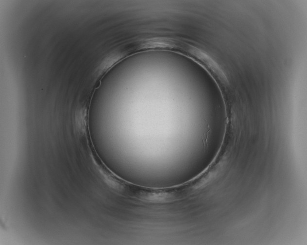 X0000110671233200906191338