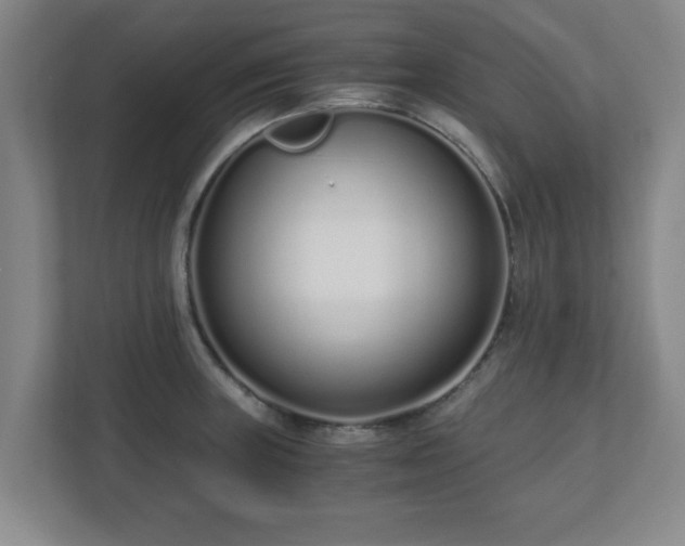 X0000110671235200906191338