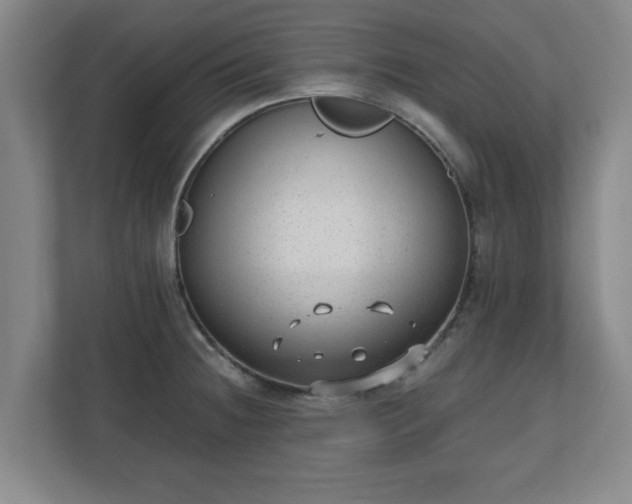X0000110671236200906191338