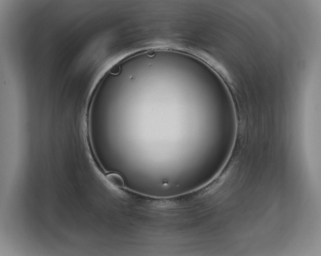 X0000110671239200906191338