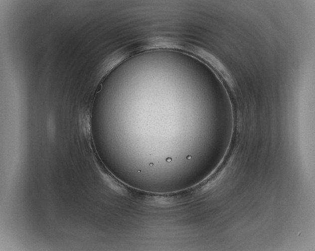 X0000110671241200906191339
