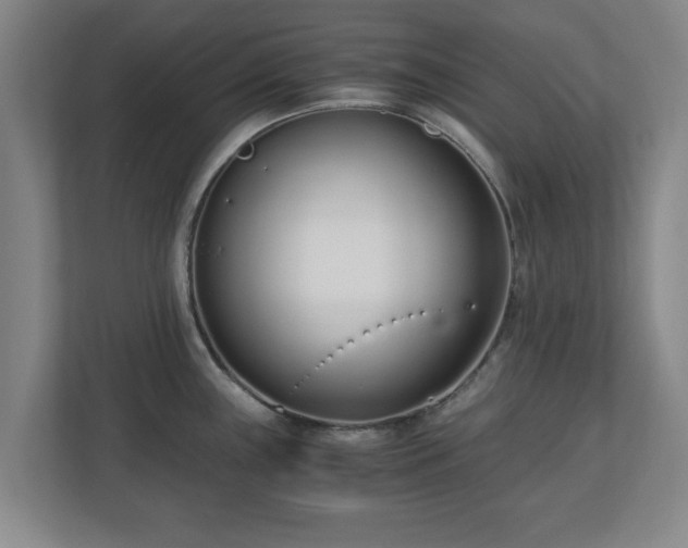 X0000110671243200906191339
