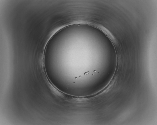 X0000110671244200906191339
