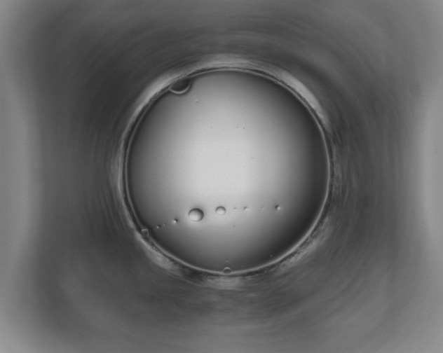 X0000110671245200906191339