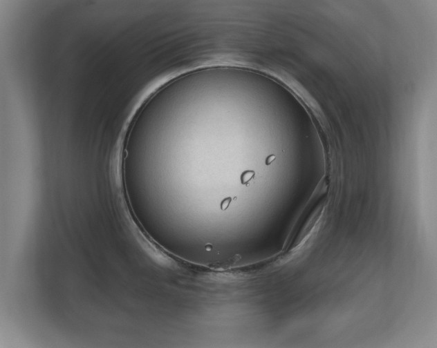 X0000110671246200906191339