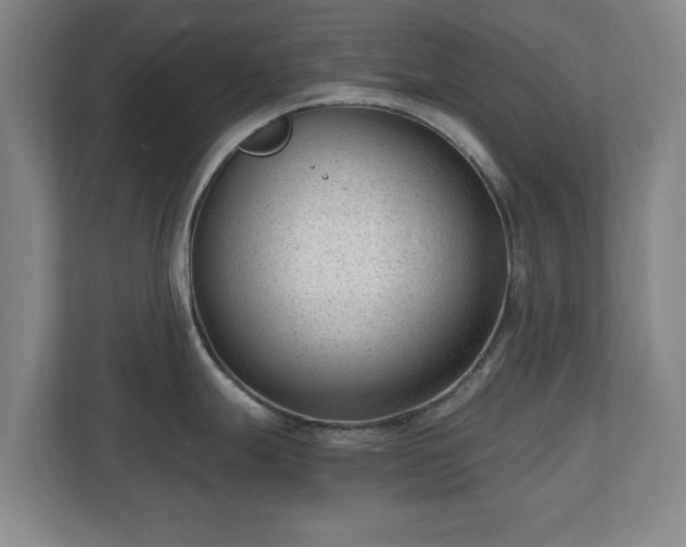 X0000110671247200906191339
