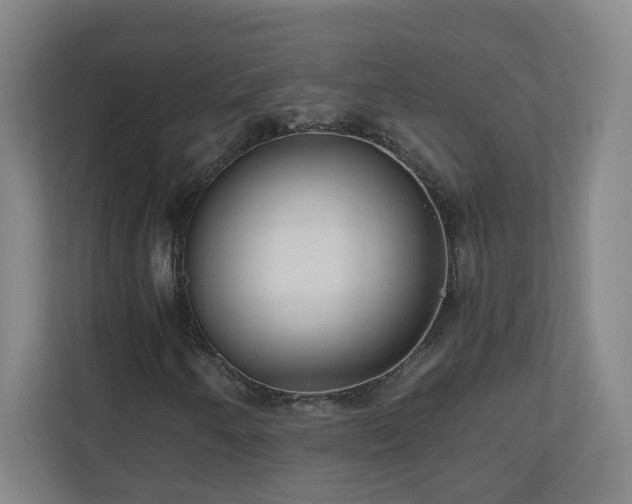 X0000110671250200906191338
