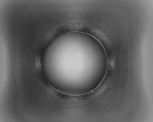 X0000110671252200906191338