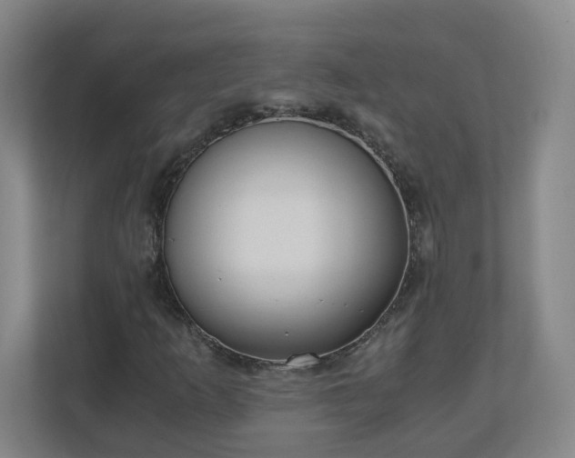 X0000110671253200906191338