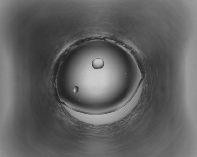 X0000110671256200906191338
