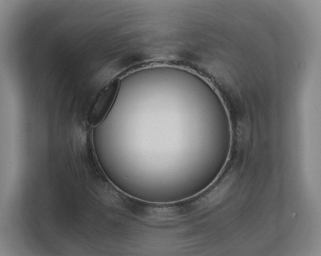 X0000110671257200906191338