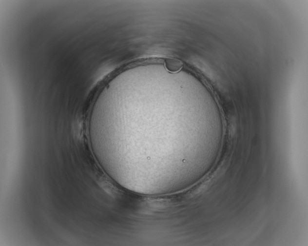 X0000110671258200906191338