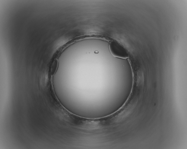 X0000110671261200906191338