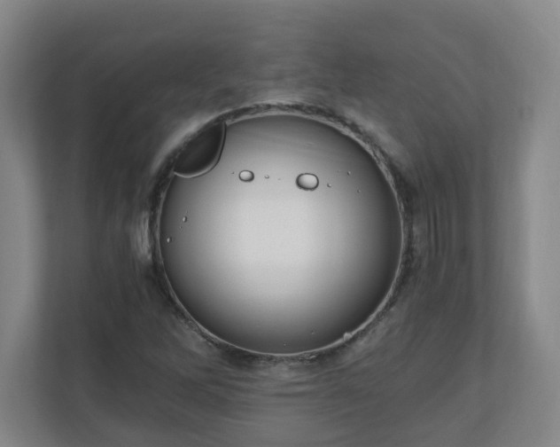 X0000110671262200906191338