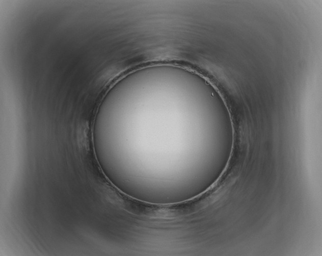 X0000110671265200906191338