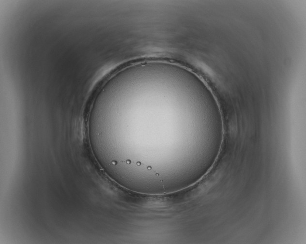 X0000110671267200906191338