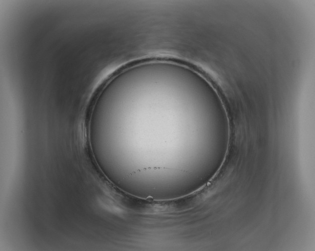 X0000110671271200906191338
