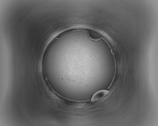 X0000110671279200906191338